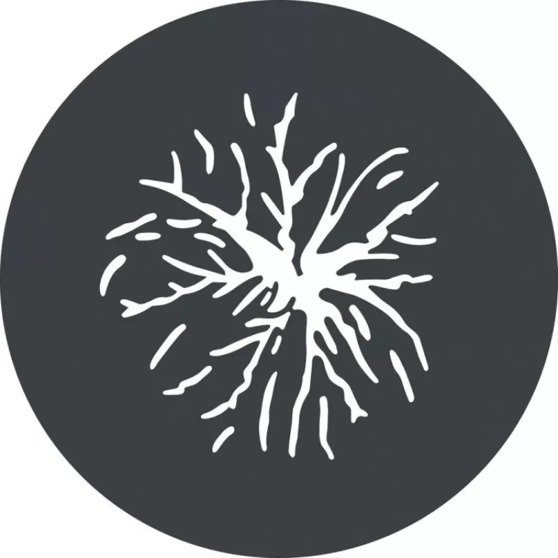 Godox GP GS2 gobo-sarja GP-projektio-kiinnikkeeseen (6 kuviota)