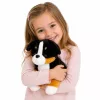 LEAN TOYS pehmolelu pehmeä koira halattavaksi berninpaimenkoira 30x30 cm