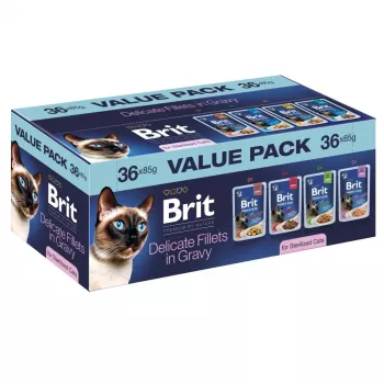 Brit Delicate Fillets in Gravy sterilisoiduille kissoille – 36 x 85 g pussia