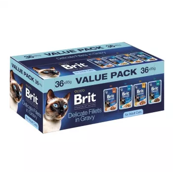 Brit Delicate Fillets in Gravy aikuisille kissoille - sekaliha & kala, 36 x 85 g pussi