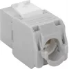 DS-IT CAT6a UTP keystone-verkkopistorasia – työkaluton – harmaa (DS-KC-UTP6A-TL-2)