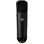 Warm Audio WA-87 R2 BL isokalvo-kondensaattorimikrofoni - nikkeli