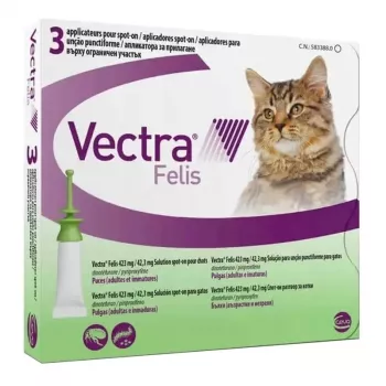 Ceva Vectra Felis spot-on kirppuhoito kissoille – 3 pipettiä