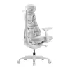 LiberNovo Omni GEN 48 cm ergonominen tuoli (valkoinen)