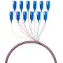 EFB Elektronik kuitu-pigtail SC 9/125 OS2 12 värin sarja 2m - singlemode-kaapeli/adapterisarja