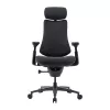 LiberNovo Omni Pro 48 cm ergonominen tuoli (grafiitti)
