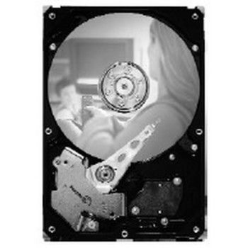 SEAGATE 250GB 3,5