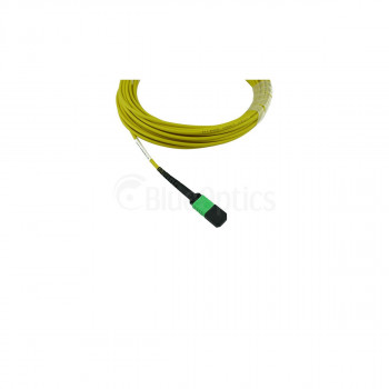 BlueOptics UACC-OFC-SA-MPMP-5M yhteensopiva MPO-MPO Singlemode OS2 -kuitu-patchkaapeli 5 metriä