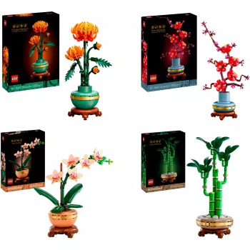 LEGO Botanicals Four Seasons Bundle