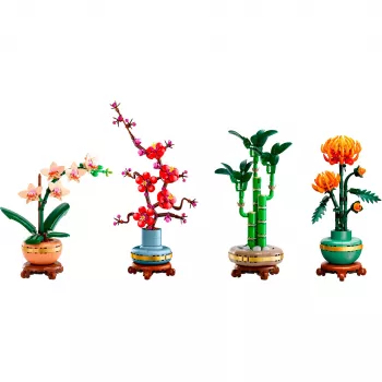 LEGO Botanicals Four Seasons Bundle