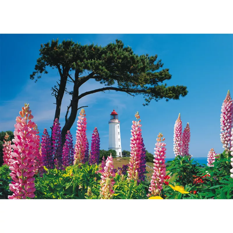 Schmidt Spiele Dornbusch Leuchtturm, Hiddensee 1000 palan palapeli