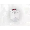 LEIFHEIT Fresh&Easy ilmatiivis elintarvikeastia 1,6L, BPA-vapaa, läpinäkyvä vihreällä kannella