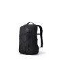 Gregory Terros 20 -kannettavareppu 20L Black Lichen