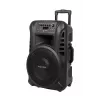 KRUGER & MATZ KM1712 40W aktiivikaiutin 2 UHF-langattomalla mikrofonilla, Bluetooth, USB, SD, FM-radio