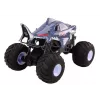 LEAN TOYS suuri kauko-ohjattava offroad-auto 2,4G RC 1:6 Shark