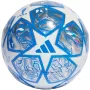 adidas UCL -harjoitusjalkapallo valkoinen ja hopea IN9326 5