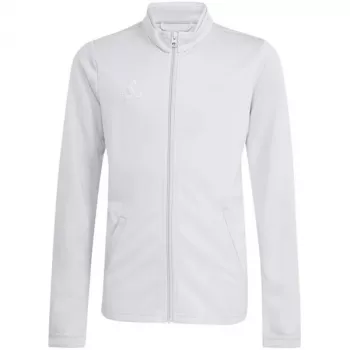 adidas Entrada 26 Track lasten harjoitustakki vaaleanharmaa JZ6610 152cm