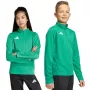 adidas Entrada 26 harjoituspaita lapset vihreä JZ6632 140cm