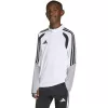 adidas Tiro 26 Competition Training Top lasten collegepaita valkoinen-harmaa KA7577 164cm