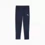 Miesten Puma Team Goal treenihousut laivastonsininen 658639 06 L