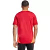 Miesten adidas Tiro 24 Competition treeni-t-paita punainen IS1658 XL
