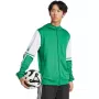 miesten adidas Squadra 25 huppupaita vihreä ja valkoinen JP3164 L