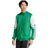 miesten adidas Squadra 25 huppupaita vihreä ja valkoinen JP3164 L