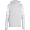 adidas Squadra 25 huppupaita lasten paita harmaa JD4808 152cm