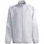 Lasten collegepaita adidas Tiro 26 League Presentation vaaleanharmaa JZ9053 164cm