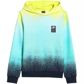 Poikien collegepaita 4F M3184 monivärinen 4FJWSS26TSWSM3184 90A 134cm