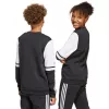 adidas Squadra 25 Sweat Crew -collegepaita lasten musta JE2773 152cm
