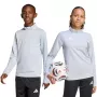 Lasten collegepaita adidas Entrada 26 Training Top vaaleanharmaa JZ6637 152cm