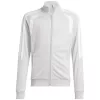 adidas Tiro 26 League Training collegepaita lapsille vaaleanharmaa JY7198 152cm