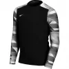 Nike Dry Park IV JSY LS GK Junior maalivahtipaita musta CJ6072 010 XS