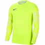 Nike Dry Park IV JSY LS GK Junior lime maalivahti collegepaita CJ6072 702 XS