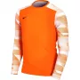 Nike Dry Park IV JSY LS GK Junior maalivahti collegepaita oranssi CJ6072 819