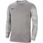 Nike Dry Park IV JSY LS GK Junior maalivahdin collegepaita harmaa CJ6072 052 XS