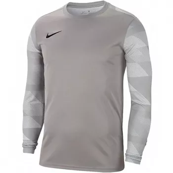Nike Dry Park IV JSY LS GK Junior maalivahdin collegepaita harmaa CJ6072 052 S