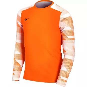 Nike Dry Park IV JSY LS GK Junior maalivahdin huppari oranssi CJ6072 819 XL