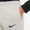Nike Park 20 fleece-housut lasten vaaleanharmaa CW6909 063