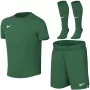Nike Dri-FIT Park VIII pienten lasten urheilusetti, vihreä, HV8260 302, koko S