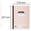 Le Dauphin Manifold Recettes-Dépenses, 297 x 210 mm, dupli (1502D) – 1 lehtiö