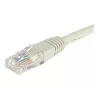EXERTIS CONNECT Cat6 U/UTP -patchkaapeli, 0,5 m, harmaa, RJ45, Snagless EXC848050