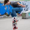 SCHILDKRÖT Skateboard Grinder 31 tuuman Wolf Deck Complete Skateboard 510682