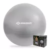 SCHILDKROT jumppapallo 65 cm hopea Anti-Burst 960156