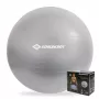 SCHILDKROT jumppapallo 65 cm hopea Anti-Burst 960156