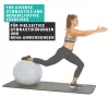 SCHILDKROT jumppapallo 65 cm hopea Anti-Burst 960156