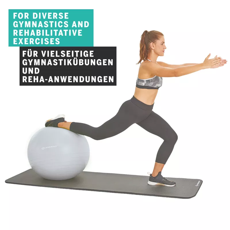 SCHILDKROT jumppapallo 65 cm hopea Anti-Burst 960156