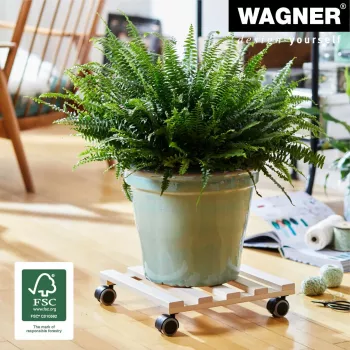 Wagner design yourself kasvirulla GH 0438, neliömäinen, massiivipyökki, 34 x 34 x 8 cm, 4 ohjauspyörää, 100 kg kantavuus, luonnonvärinen, yksilöllisesti mukautettava 20043801