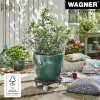 WAGNER design yourself kasvirulla GH0558 muovi, Ø 38,5 cm tummanvihreä pyöreä, 1 kpl 20055801